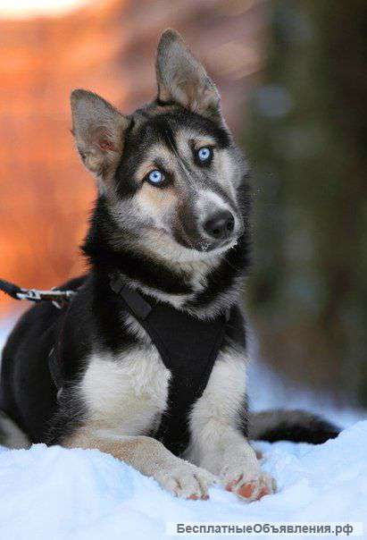 Юта - молодая красавица с голубыми глазами