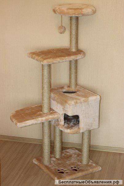 Когтеточка