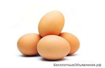 Куплю пищевое куриное яйцо