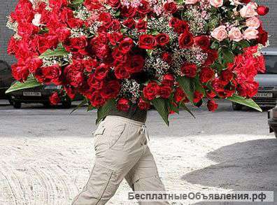 Индивидуальное поздравление-сюрприз