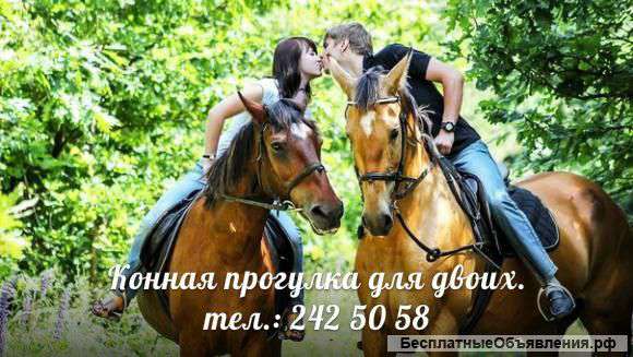 Романтическая прогулка на лошадях