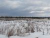 Егорьевск ул. Старонечаевская