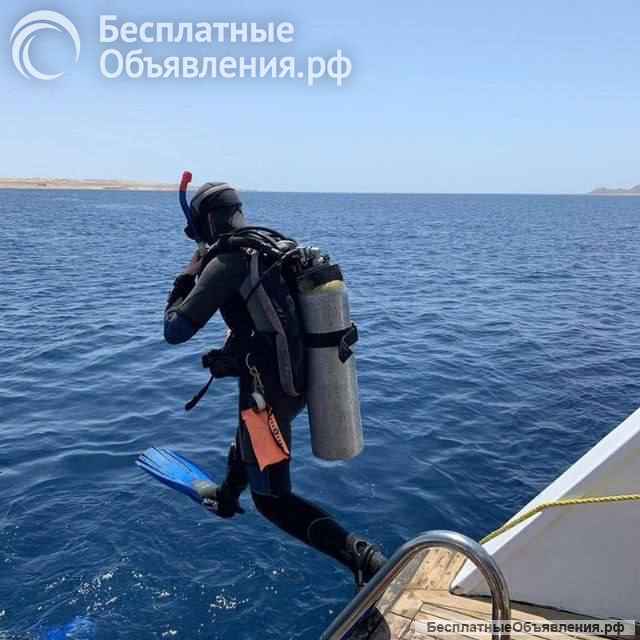 Дайвинг-тур в Египет на потрясающей яхте 5* (со скидкой)
