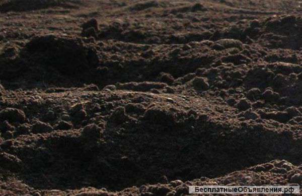 Торф для дачи и огородов