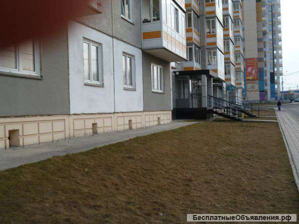 1комнатную на Взлетке