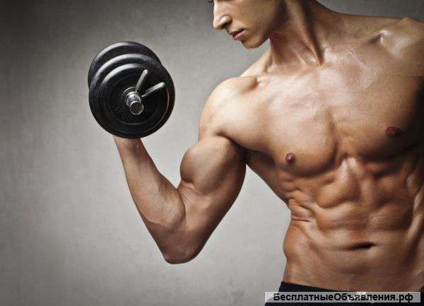 Составлю индивидуальную программу тренировок или план питания