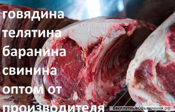Охлаждённая свинина п/туши 1 категории
