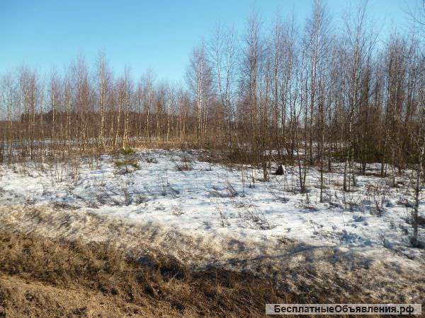 Участок в Рузском районе ИЖС д Ожигово