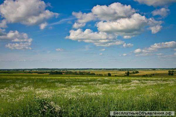 Земельный участок 27, 5 га в Истринском районе