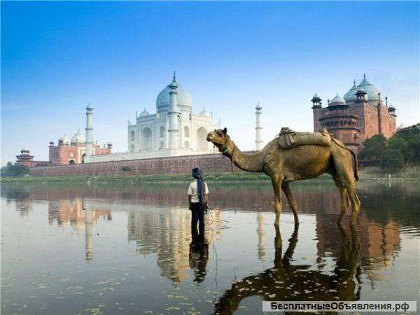 Курорты Индии, путешествия и туры