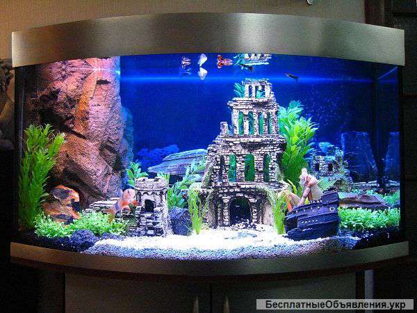 Комплексное обслуживание Аквариумов