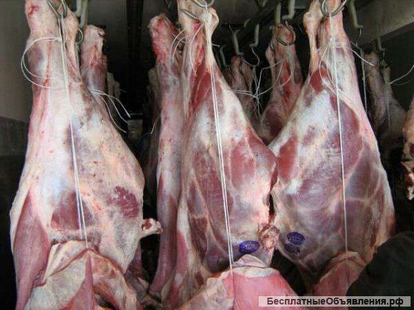 Охлажденная и замороженная говядина