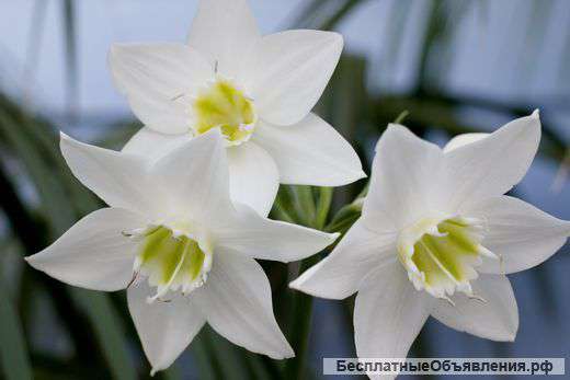 Квартира для рабочих