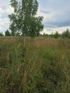 Земельный участок, д. Лукьяново, Серпуховский район, Московской области