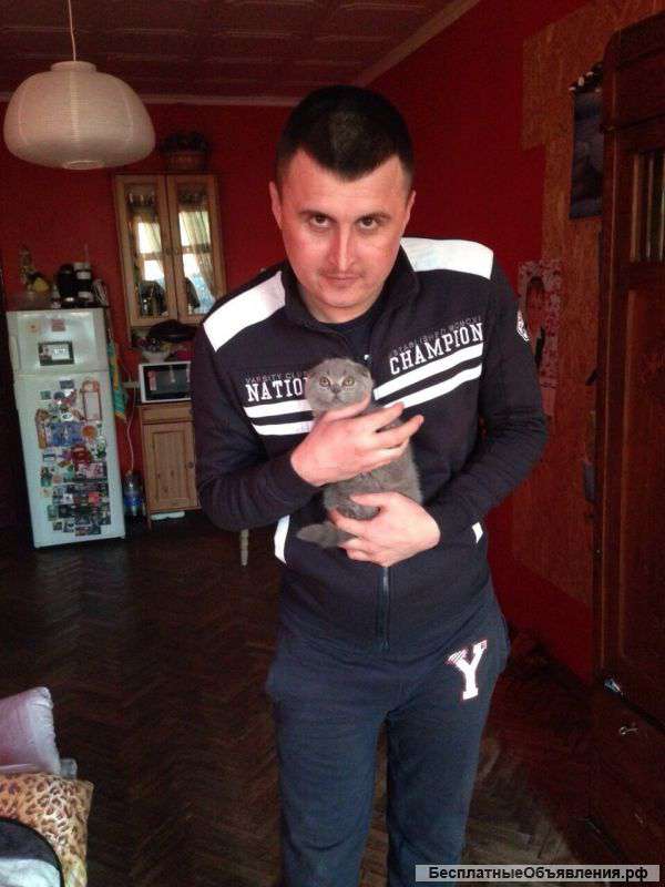 Потерял паспорт, предлагаю вознаграждение