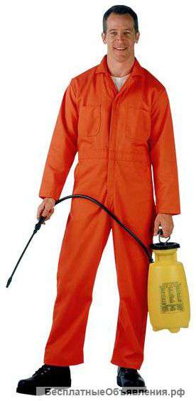 Уничтожение любых насекомых во Владивостоке с гарантией