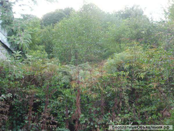 Земля в Сочи продается