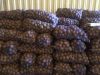 Фермерское хозяйство реализует семенной картофель оптом