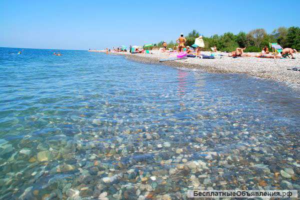 Отдых в Сочи