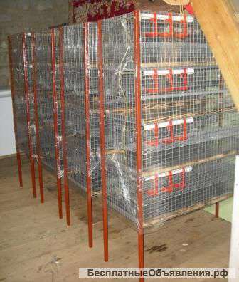 Клетки для перепелов на 100-120 голов, 4-х ярусная