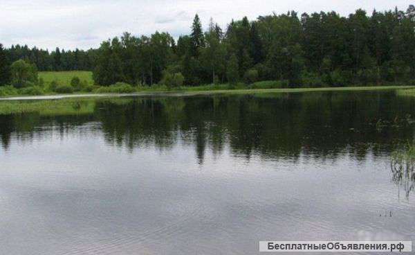 Участок 28 Га у озера