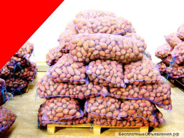 Картофель Оптом.Мы производители.Доставка.Звоните.