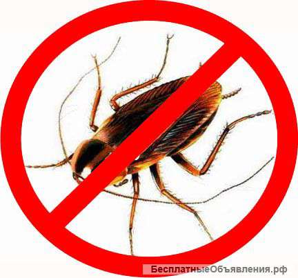 Уничтожение тараканов