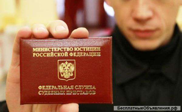 Юрист в сфере Исполнительного производства