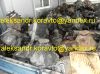 Редукторы бу и новые на автобусы и грузовики корейского производства