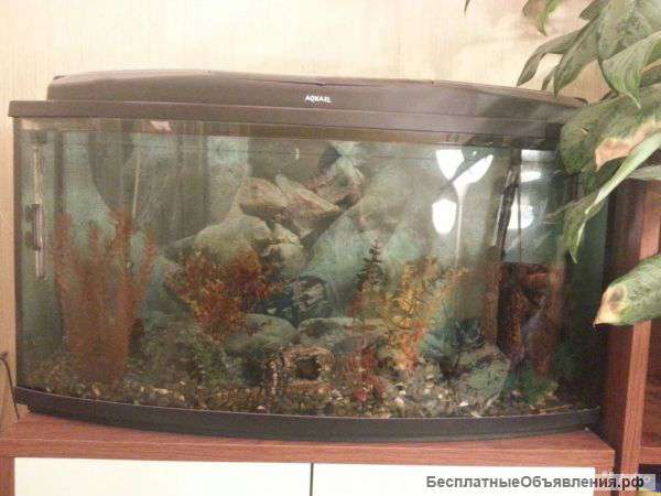 Аквариум бу с компрессором и фильтром