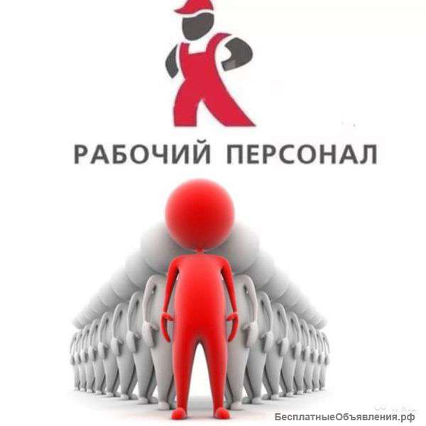 Крепкие и опытные разнорабочие-подсобники от 2ух до 70 человек