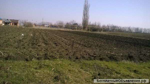 Земельный участок в с. Первореченское