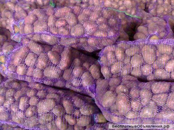 Овощи оптом