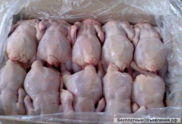 Мясо кур охлажденное 95 руб. -кг
