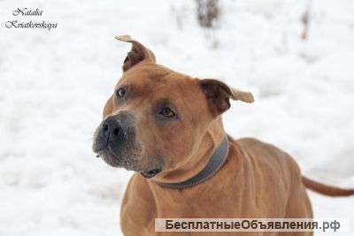 В надежные руки