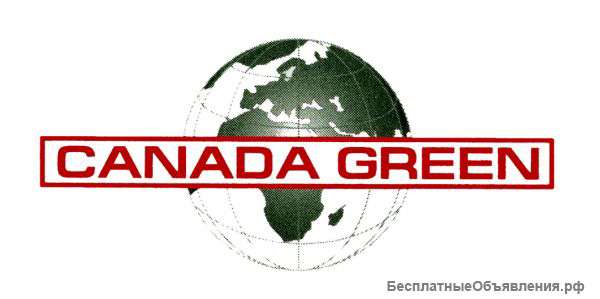 Оригинальная газонная трава канада грин