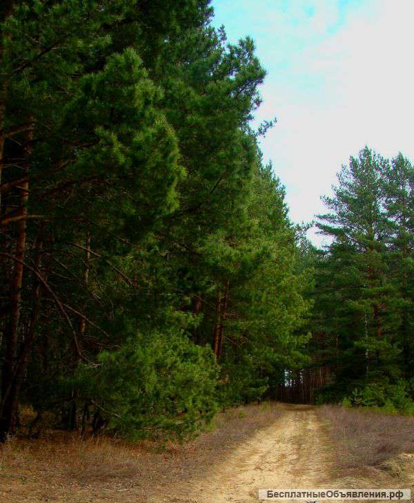 Земля в жилой деревне