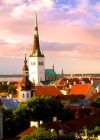 Ваш гид в Таллинне