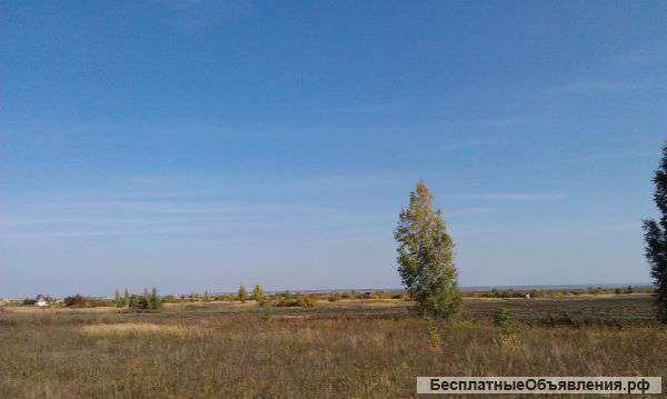 Участок 17,5 га в 7 км. от Арзамаса