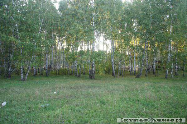 Земельный участок