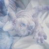 Котята сфинкса (донской, канадский)