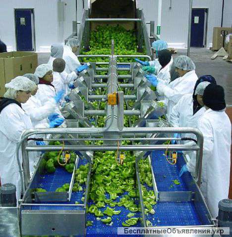 Требуются женщины на консервный завод в Польшу