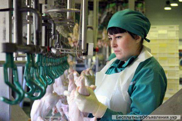 Требуются рабочие в Польшу на птицефабрику, мясокомбинат