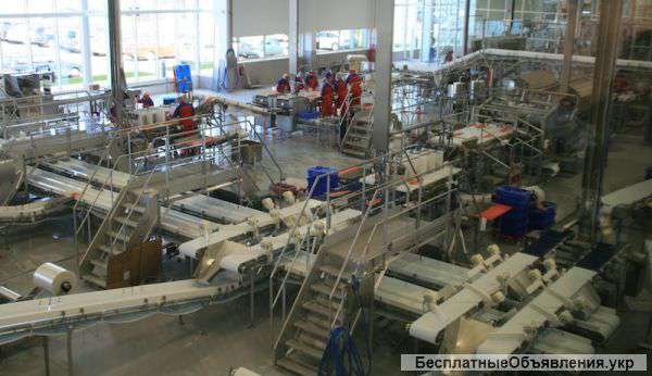 Требуются женщины на рыбный завод в Польше на филетирование плоской, уже очищенной, рыбы