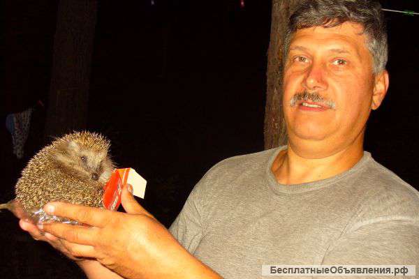 Помощь в освоении авто и не только