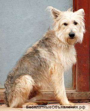 Калеб-ласковый,добрый мальчик.Очень хочет домой