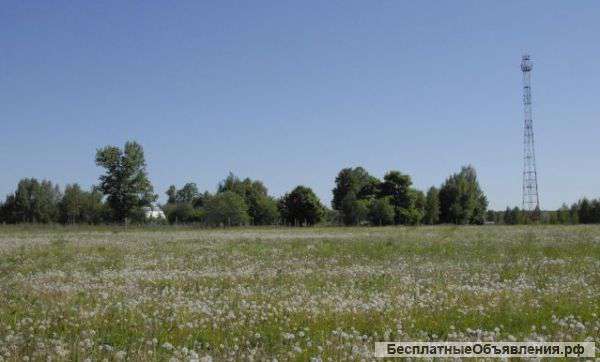 Участок 40 соток, 65 км Каширское шоссе