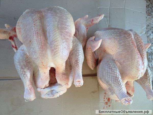 Индейка, разделка (собственная птицефабрика), Самарская обл