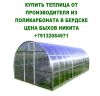 Теплица от производителя из поликарбоната в бердске цена
