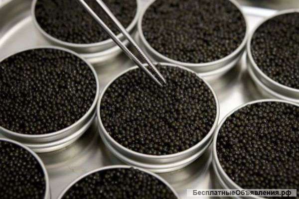 Икра чёрная Осетровая